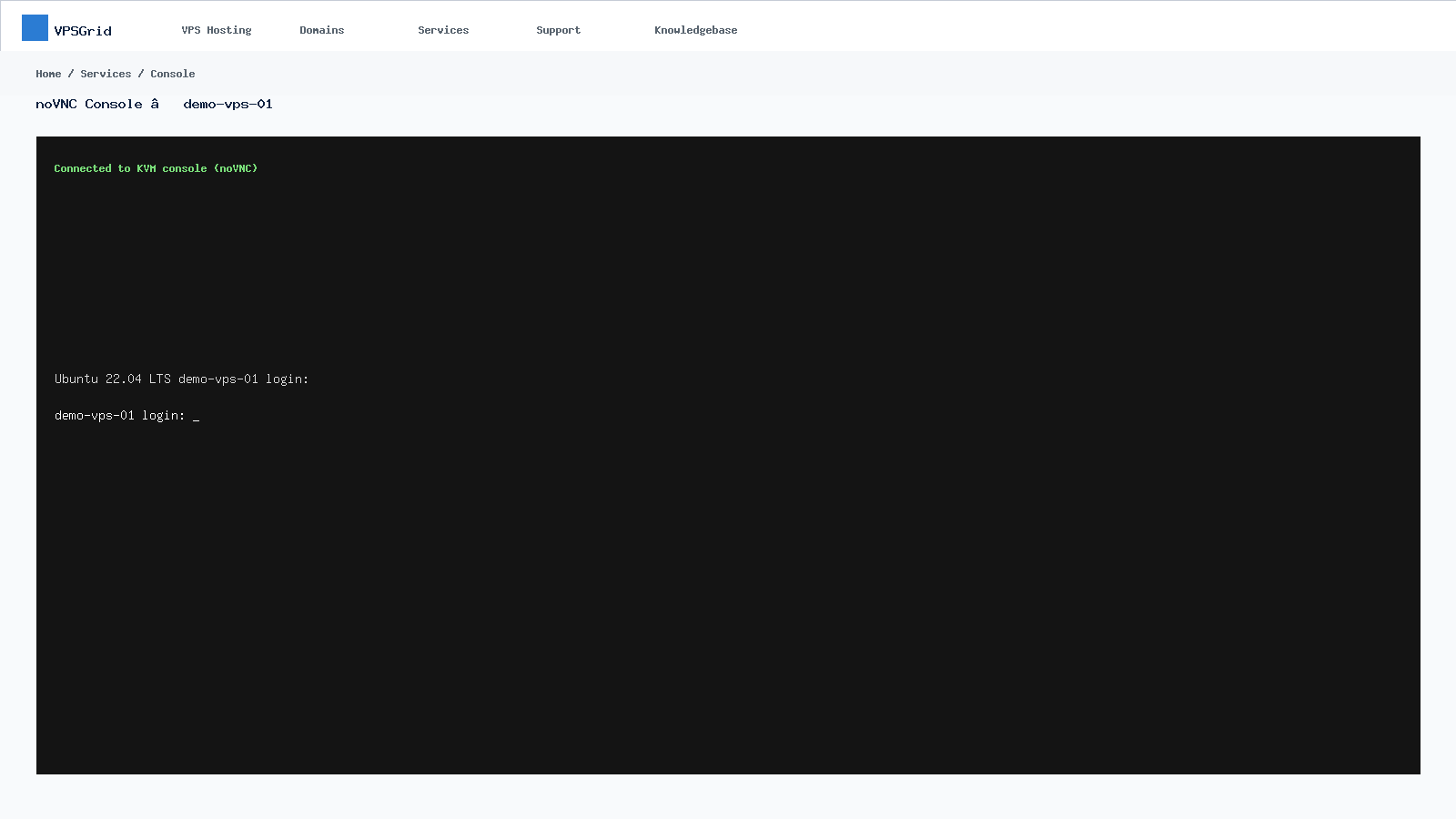 VPSGrid noVNC browser console